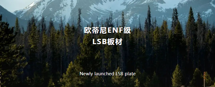 欧蒂尼ENF级LSB板材