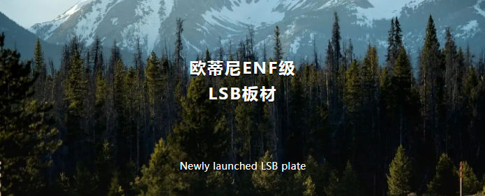 欧蒂尼ENF级LSB板材：打造绿色环保家居新标杆